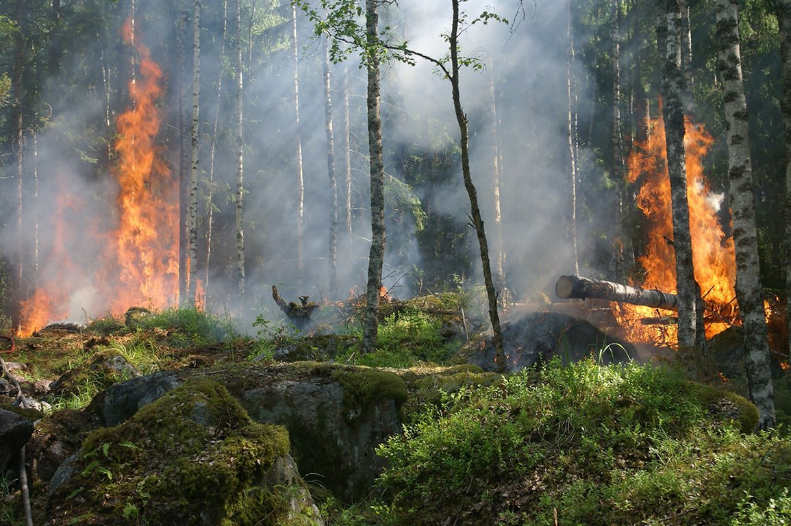 Claims losses from massive wildfires top $3 billion